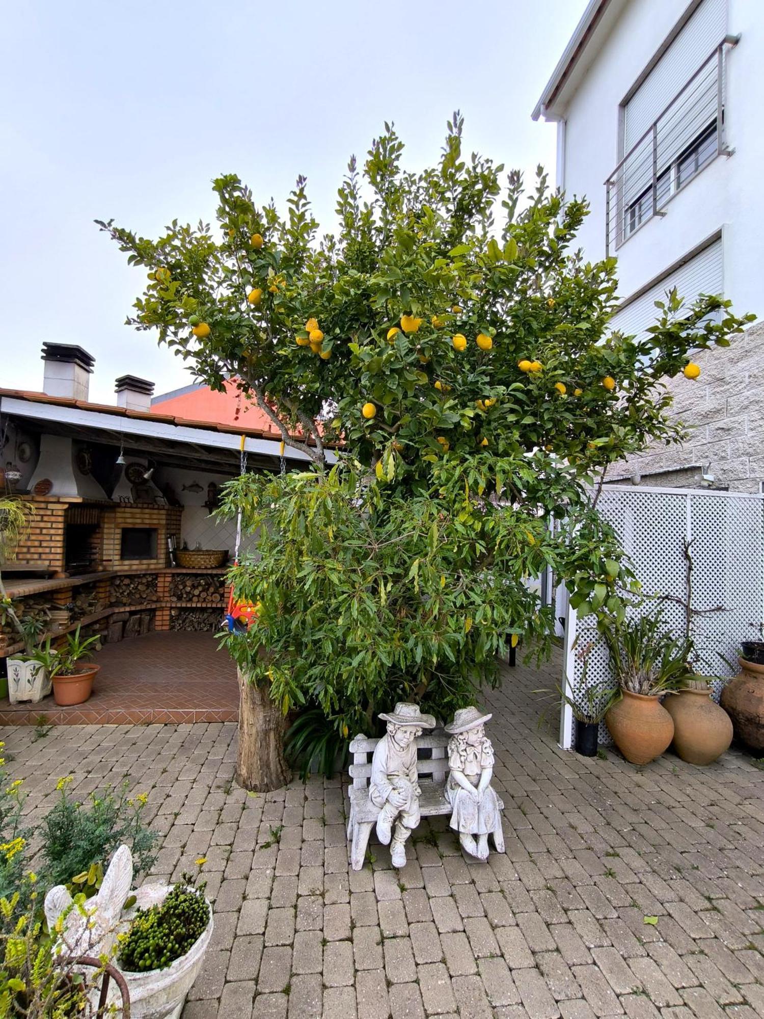 The Sun House Apartment Santa Iria de Azoia