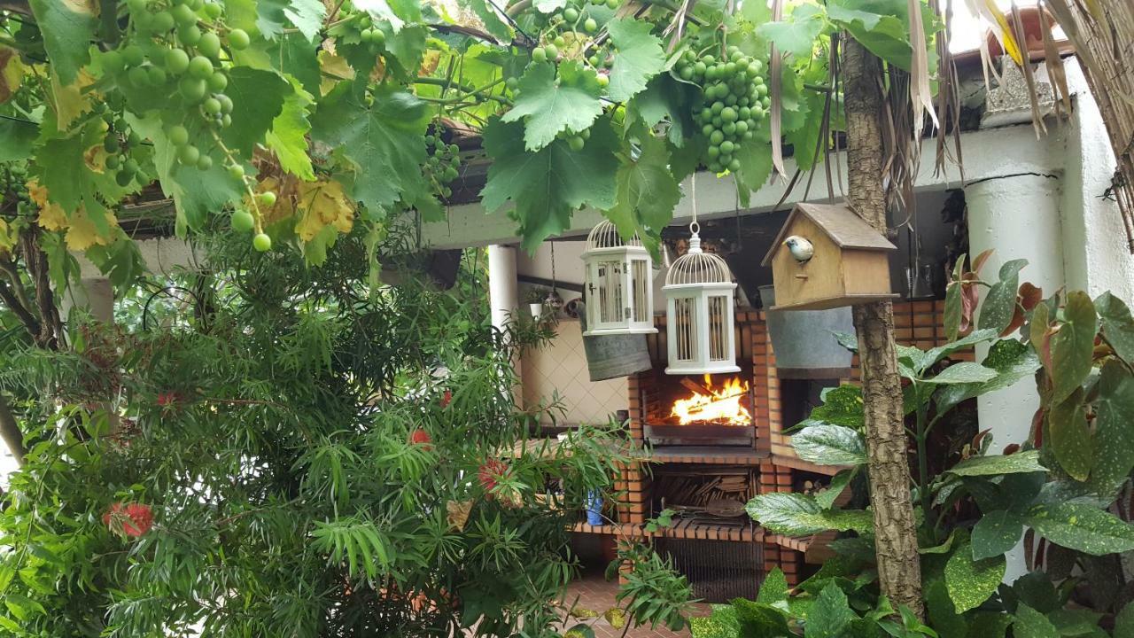 The Sun House Apartment *